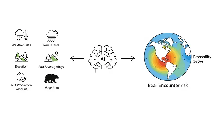 熊出没予測モデルの流れ