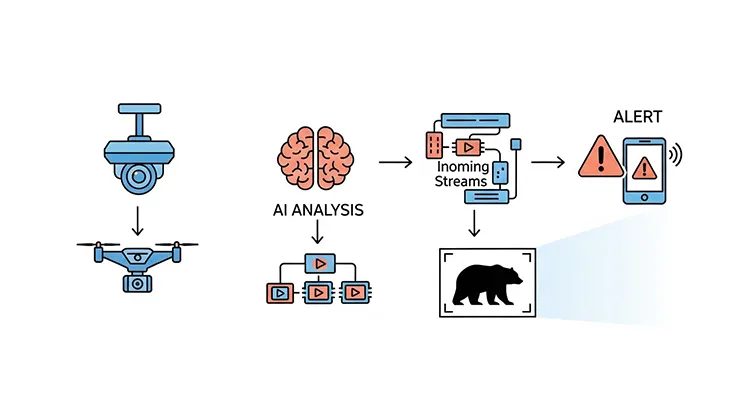 AIで熊を検出するためのモデル構成